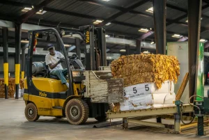 KUNCI LOGISTIK TANGGUH LEWAT OPERATOR FORKLIFT